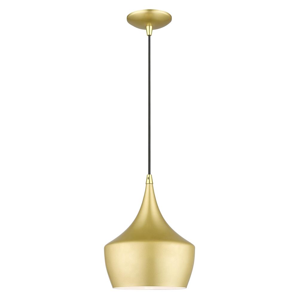 1 Light Soft Gold Pendant with Polished Brass Finish Accents