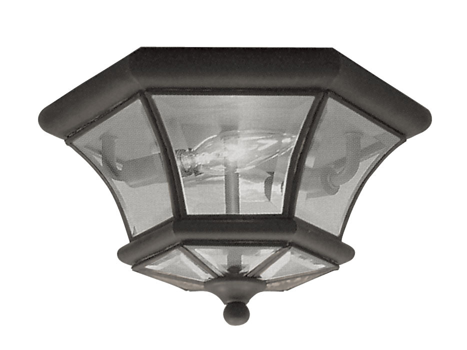 2 Light Bronze Ceiling Mount