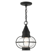 Livex Lighting 26910-04 - 1 Lt Black Outdoor Pendant Lantern