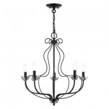 Livex Lighting 42905-68 - 5 Light Shiny Black Chandelier