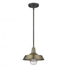 Acclaim Lighting 1736ATB - Burry 1-Light Antique Brass Convertible Pendant