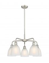 Innovations Lighting 516-5CR-SN-G381 - Castile - 5 Light - 24 inch - Satin Nickel - Chandelier