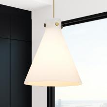 APP-410-1PM-BB-G411-14WH_2.jpg