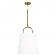 Capital 349412AD - 1-Light Pendant