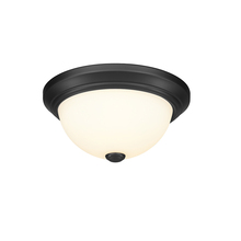 Millennium 4901-MB - Flushmount Ceiling Light