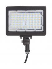 Nuvo 65/616 - LED Flood Light; 70 Watt; 5000K; Bronze Finish