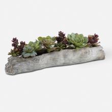 Uttermost 60174 - Uttermost Charita Lush Succulents