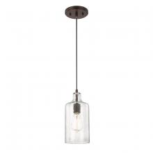 Austin Allen & Co. 9B241A - 1-Light Clear Organic Glass Pendant in Bronze