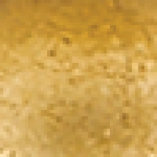 VintageGoldLeaf_VGL_Mitziwidth800.png